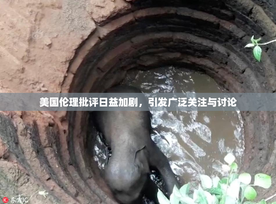 美国伦理批评日益加剧，引发广泛关注与讨论