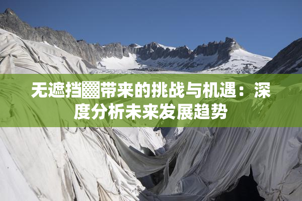 无遮挡▓带来的挑战与机遇：深度分析未来发展趋势