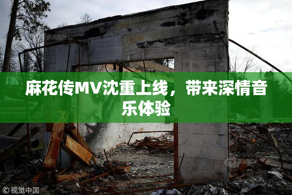 麻花传MV沈重上线，带来深情音乐体验
