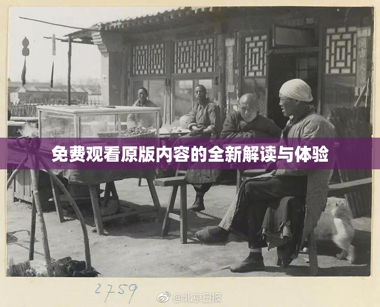 免费观看原版内容的全新解读与体验