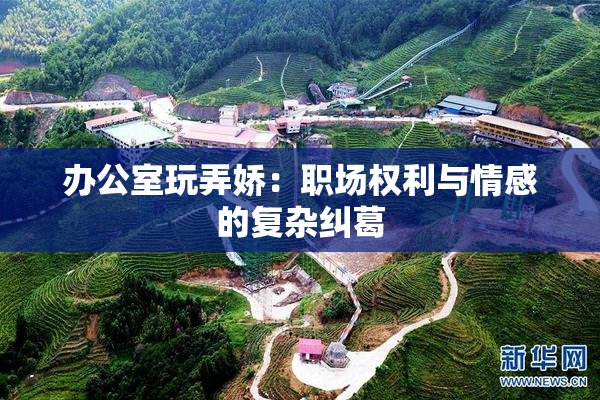 办公室玩弄娇：职场权利与情感的复杂纠葛