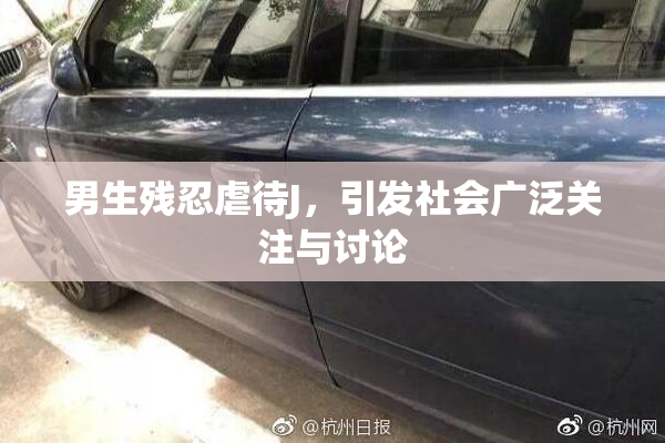 男生残忍虐待J，引发社会广泛关注与讨论