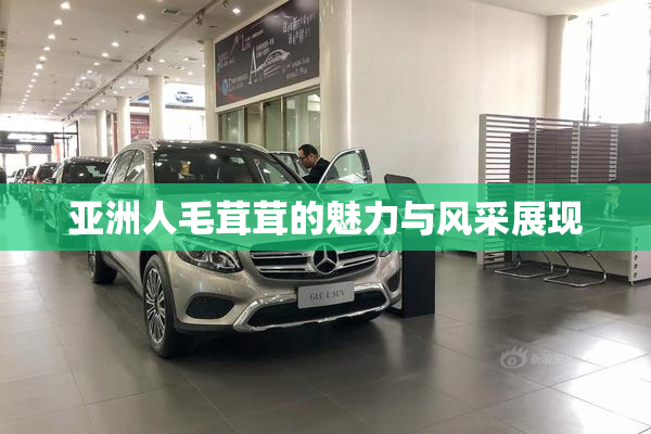 亚洲人毛茸茸的魅力与风采展现
