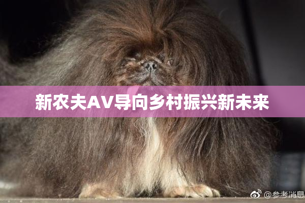 新农夫AV导向乡村振兴新未来
