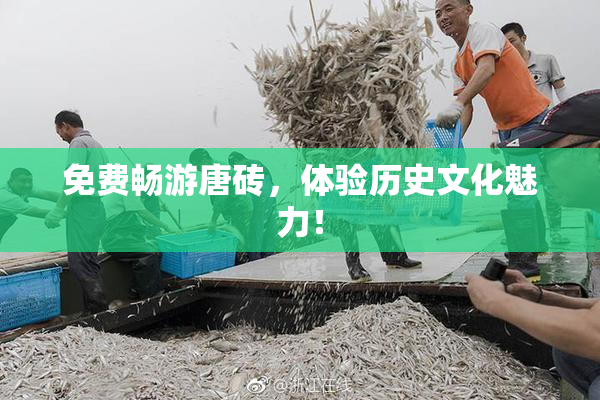 免费畅游唐砖，体验历史文化魅力！