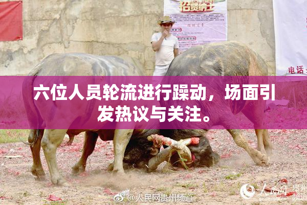 六位人员轮流进行躁动，场面引发热议与关注。