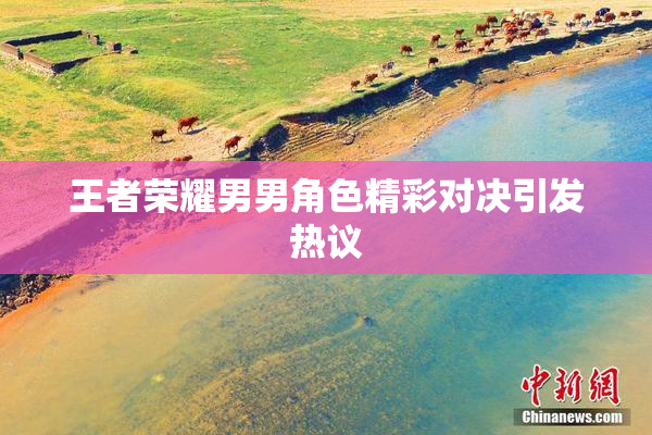 王者荣耀男男角色精彩对决引发热议