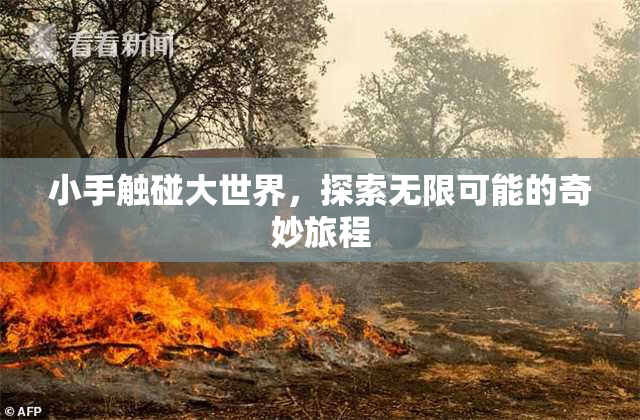 小手触碰大世界，探索无限可能的奇妙旅程