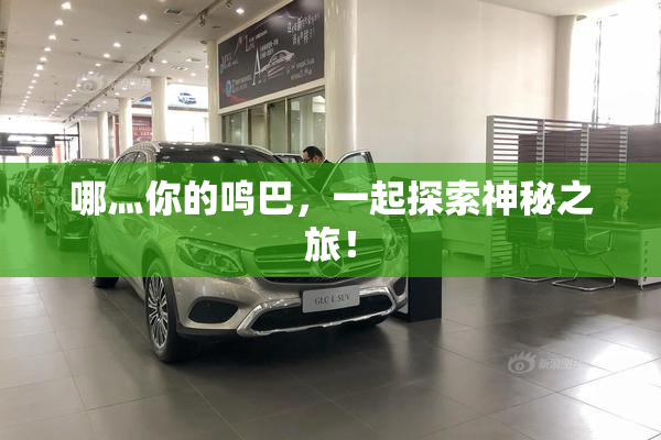 哪灬你的鸣巴，一起探索神秘之旅！