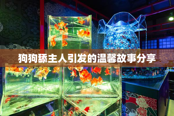 狗狗舔主人引发的温馨故事分享