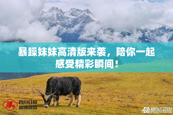 暴躁妹妹高清版来袭，陪你一起感受精彩瞬间！