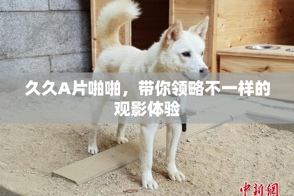 久久A片啪啪，带你领略不一样的观影体验