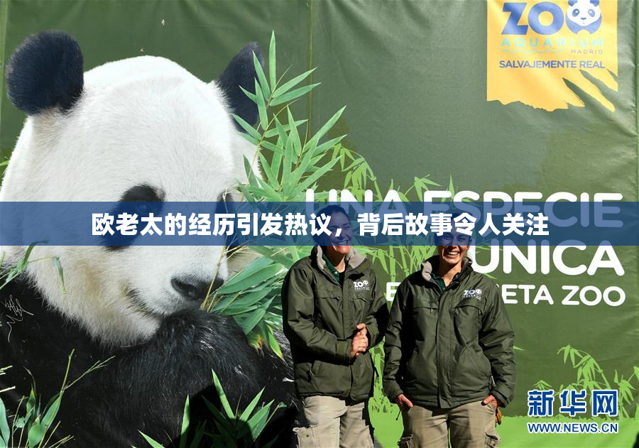 欧老太的经历引发热议，背后故事令人关注