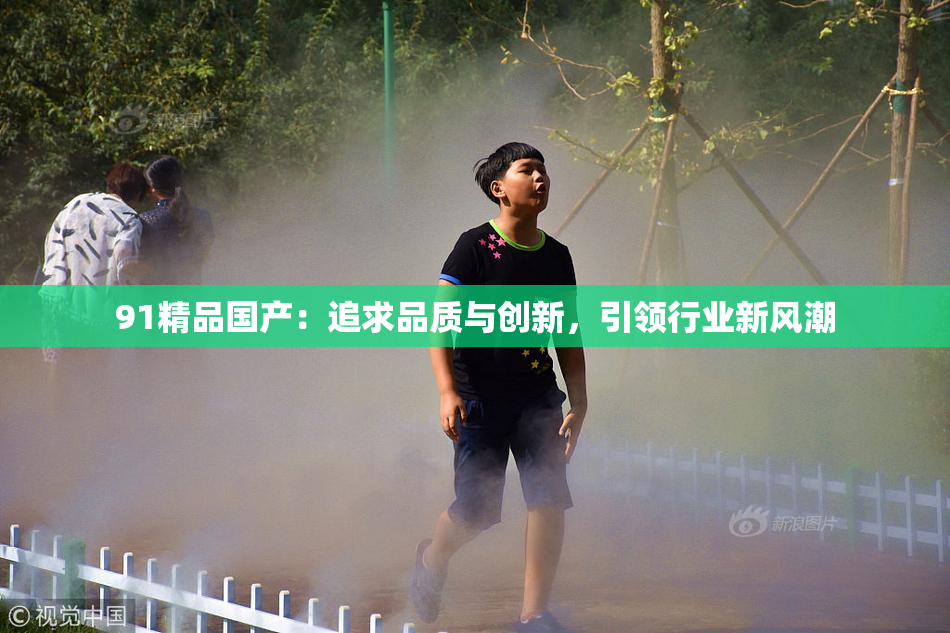 91精品国产：追求品质与创新，引领行业新风潮