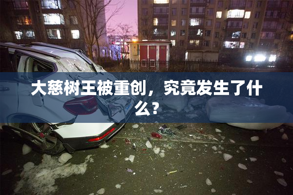 大慈树王被重创，究竟发生了什么？