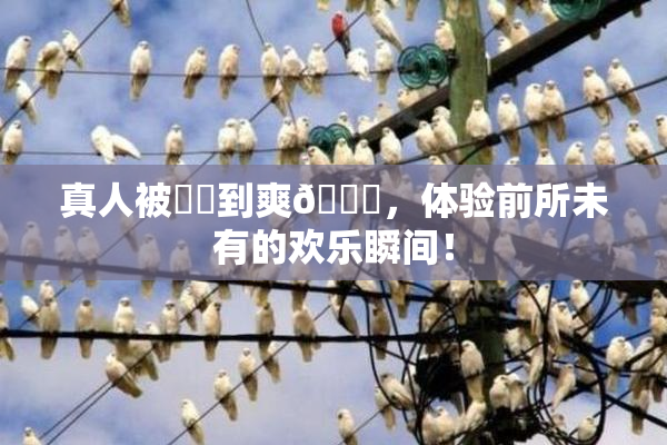 真人被❌‌到爽🔞，体验前所未有的欢乐瞬间！