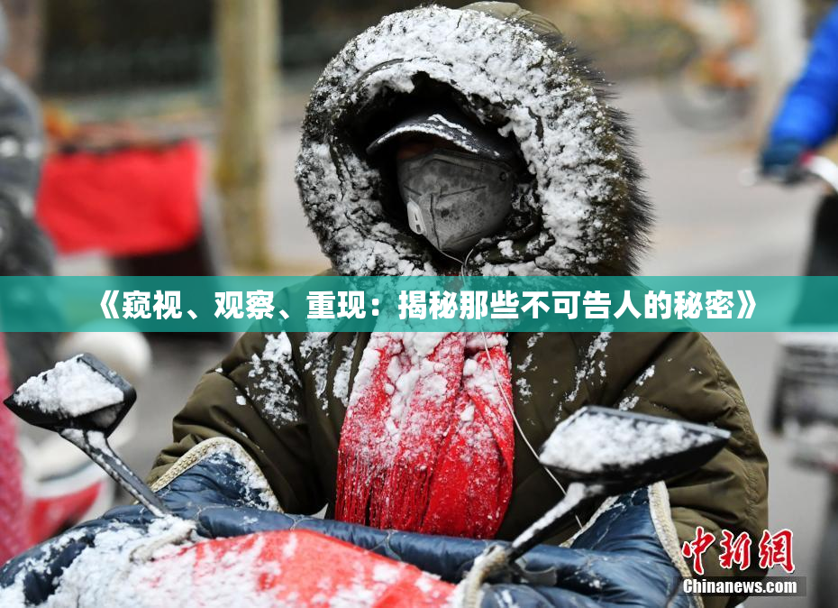 《窥视、观察、重现：揭秘那些不可告人的秘密》