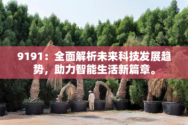 9191：全面解析未来科技发展趋势，助力智能生活新篇章。