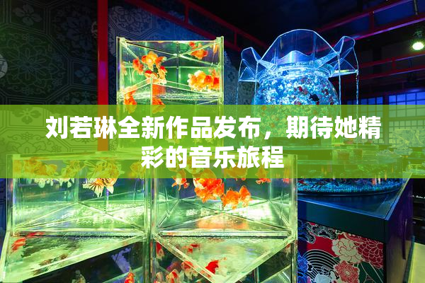 刘若琳全新作品发布，期待她精彩的音乐旅程