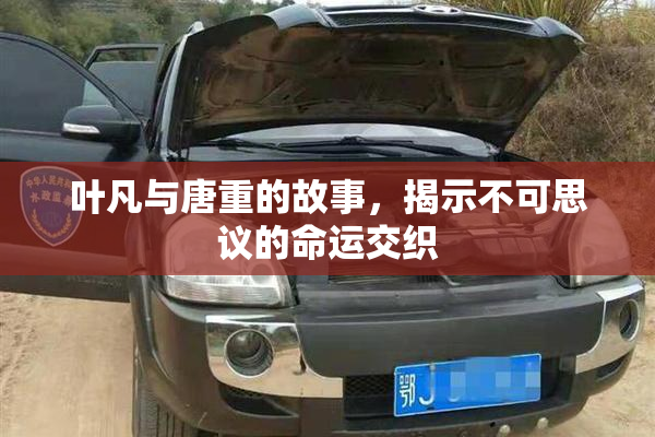 叶凡与唐重的故事，揭示不可思议的命运交织
