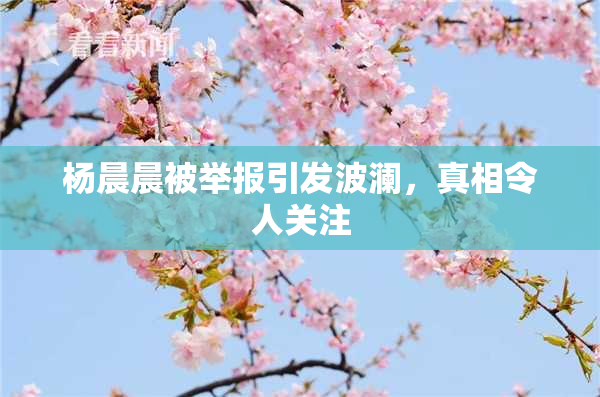 杨晨晨被举报引发波澜，真相令人关注