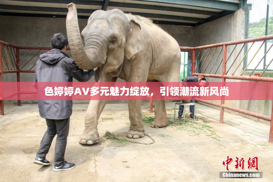 色婷婷AV多元魅力绽放，引领潮流新风尚