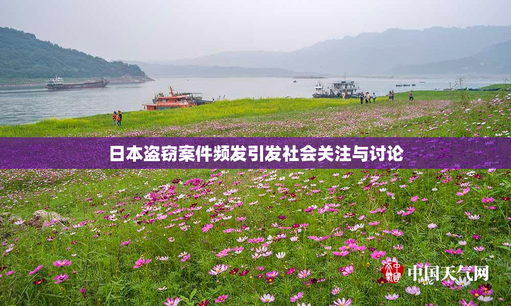 日本盗窃案件频发引发社会关注与讨论