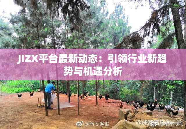 JIZX平台最新动态：引领行业新趋势与机遇分析