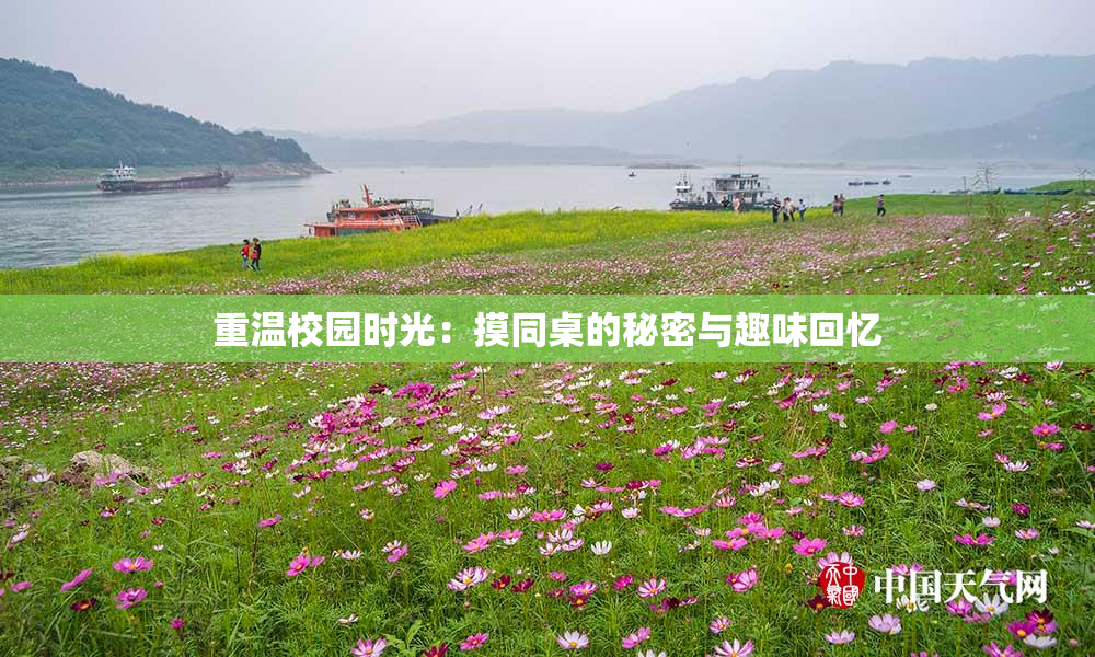 重温校园时光：摸同桌的秘密与趣味回忆