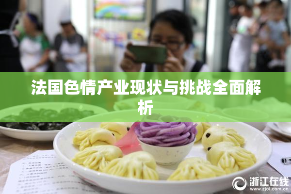 法国色情产业现状与挑战全面解析