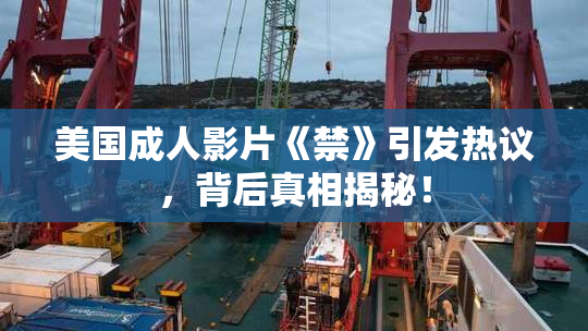 美国成人影片《禁》引发热议，背后真相揭秘！
