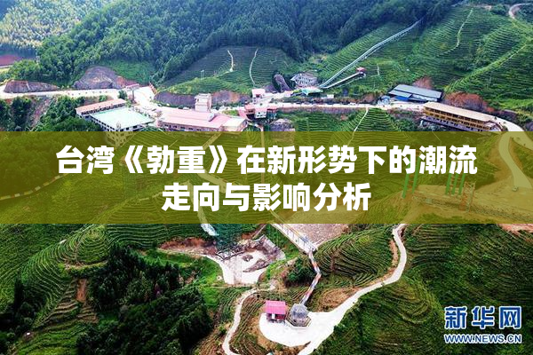 台湾《勃重》在新形势下的潮流走向与影响分析