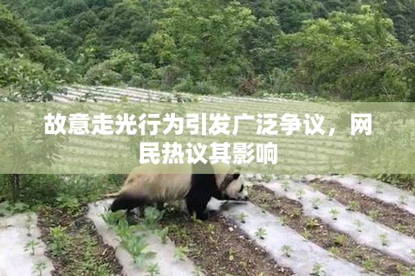 故意走光行为引发广泛争议，网民热议其影响