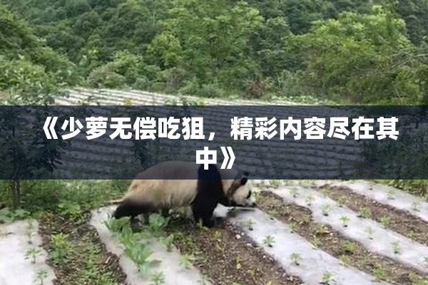 《少萝无偿吃狙，精彩内容尽在其中》