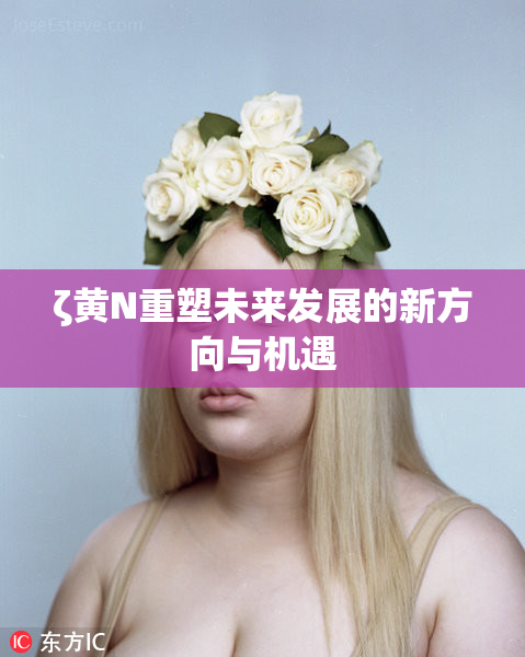 ζ黄Ν重塑未来发展的新方向与机遇