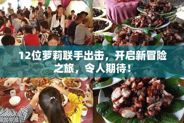 12位萝莉联手出击，开启新冒险之旅，令人期待！