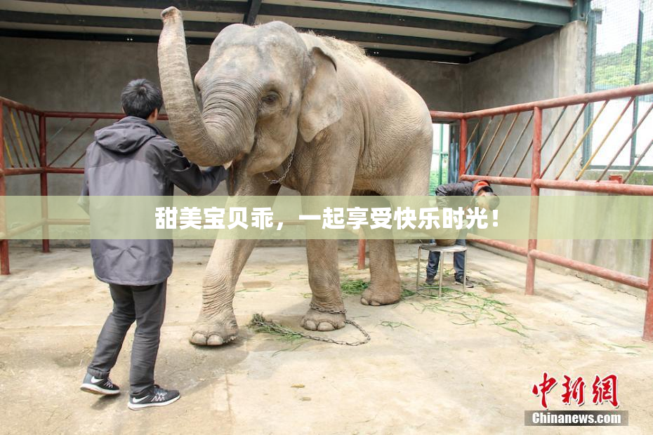 甜美宝贝乖，一起享受快乐时光！