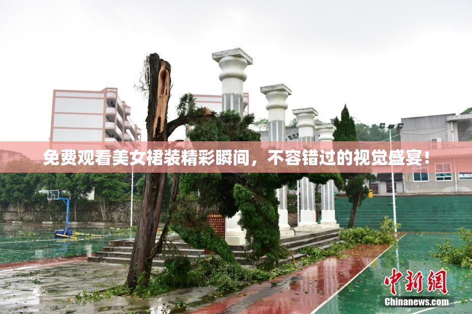 免费观看美女裙装精彩瞬间，不容错过的视觉盛宴！