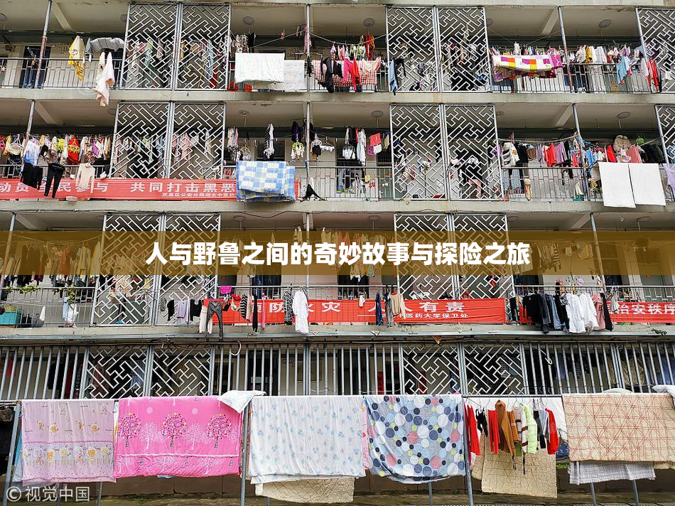 人与野鲁之间的奇妙故事与探险之旅