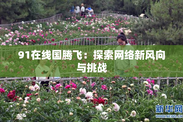 91在线国腾飞：探索网络新风向与挑战