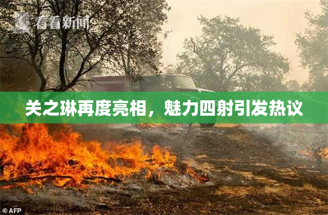 关之琳再度亮相，魅力四射引发热议