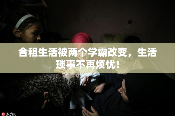 合租生活被两个学霸改变，生活琐事不再烦忧！