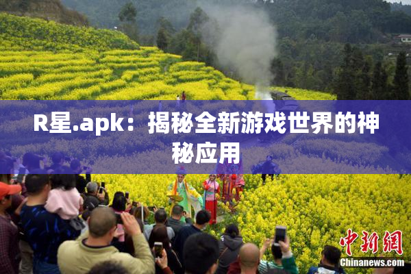 R星.apk：揭秘全新游戏世界的神秘应用