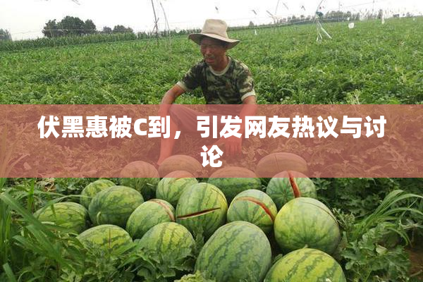 伏黑惠被C到，引发网友热议与讨论