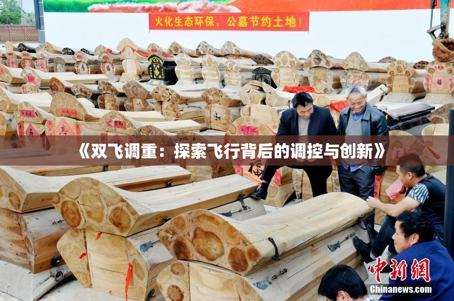 《双飞调重：探索飞行背后的调控与创新》
