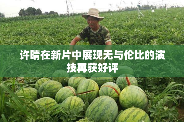许晴在新片中展现无与伦比的演技再获好评