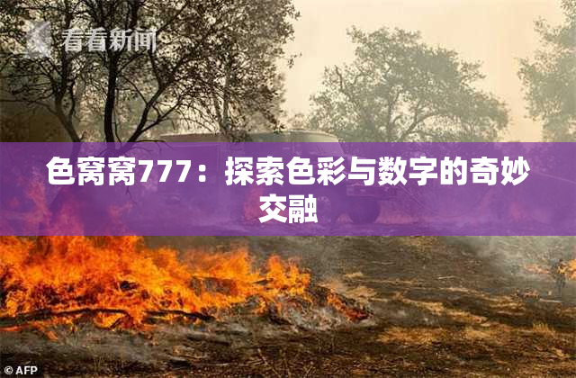 色窝窝777：探索色彩与数字的奇妙交融