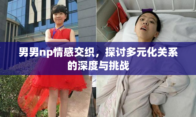 男男np情感交织，探讨多元化关系的深度与挑战