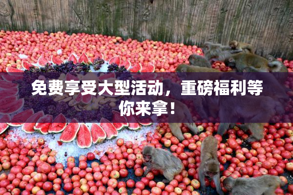 免费享受大型活动，重磅福利等你来拿！