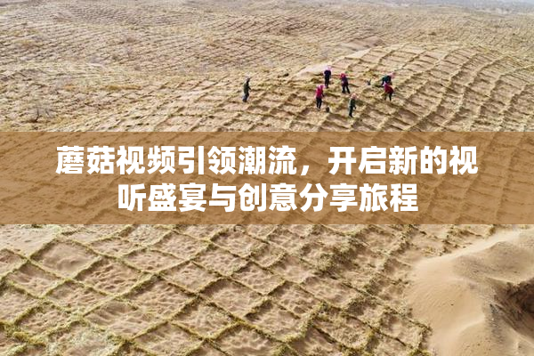 蘑菇视频引领潮流，开启新的视听盛宴与创意分享旅程